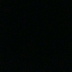 Meet your Posher, Calvin